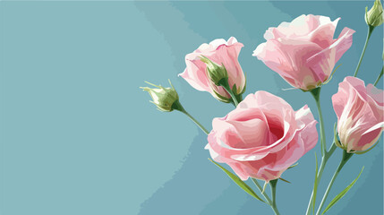 Beautiful pink eustoma flowers on blue background Vector