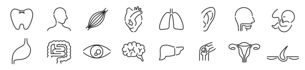 Human Body Line Editable stroke Icons set. Human internal organ. Medical Specialties. Icon collection vector. 
