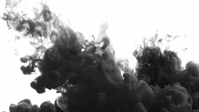 Beautiful black watercolor ink drops transition on white background