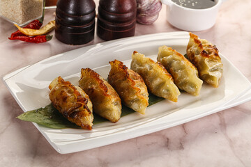 Fried Japanese stuffed dumplings - Gyoza