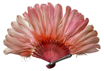 Ornate red feather fan spread, cut out - stock png.
