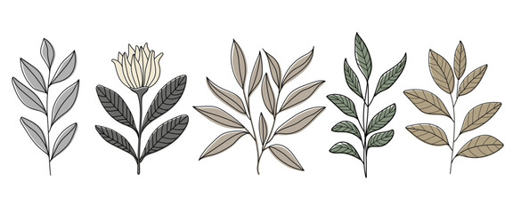 Collection of line branches , hand drawn green leaves.