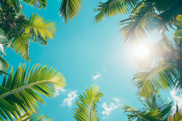 Tropical Background with Palm Trees