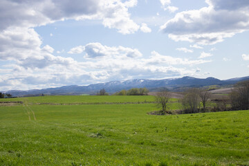 緑の丘陵畑作地帯と青空
