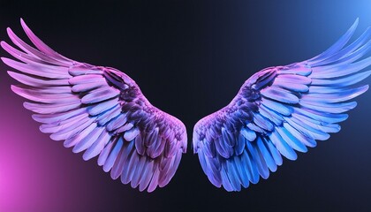 angel wings on black background, angel white wings isolated on background