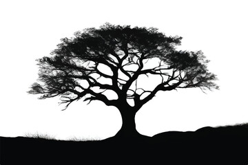 Tree silhouette isolated on white background. Black tree silhouette. Tree icon. 