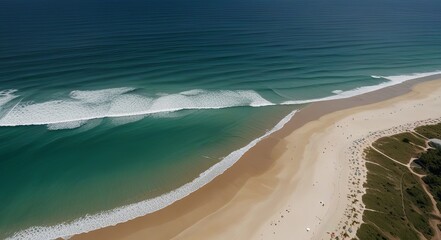 beach with palm trees florida