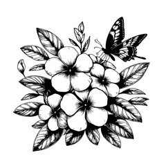 beautiful vinca flower and butterfly template logo design art