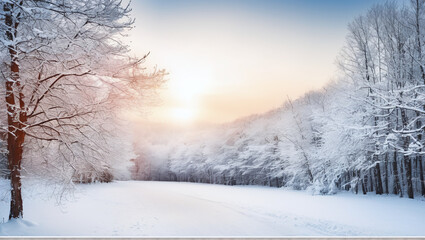 Fototapeta premium Beautiful view the wood in winter period