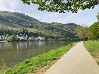 Landschaft an der Mosel mit Promenade in Bernkastel-Kues im Frühling