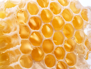 Raw honeycombs filled with fresh honey close up.