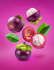 Mangosteen fruit and mangosteen halves levitating in air on violet background. Clipping paths.