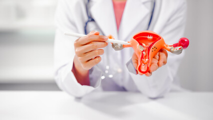 Female doctor specializing in online consultations for reproductive health issues endometriosis, uterine fibroids, gynecologic cancer, HIV/AIDS, interstitial cystitis, PCOS, STDs