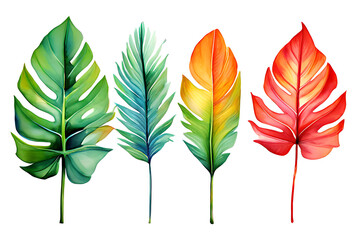 Watercolor painting of colorful tropical leaves. Leaves come in different shapes and sizes. on a white background