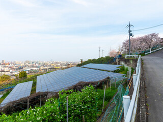 桜が咲く高尾山と太陽光発電設備