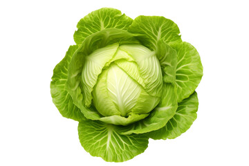 Obraz premium The Ethereal Lettuce Crown. On a White or Clear Surface PNG Transparent Background.