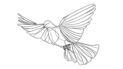 Fototapeta premium Continuous Line Drawing Dove in Elegant Black and White Minimalist Art Style