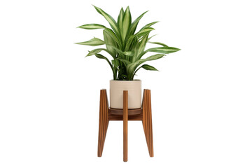 The Enchanted Forest: A Blooming Potted Plant on a Rustic Wooden Stand. On a White or Clear Surface PNG Transparent Background.