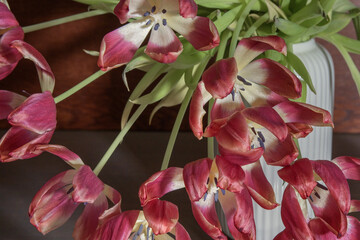 Fototapety na wymiar - Fototapeta24.pl