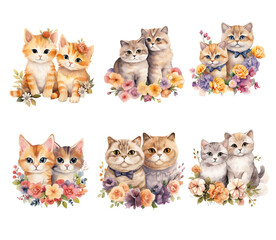 A set of six cat illustrations with flowers in the white background, transparent background 