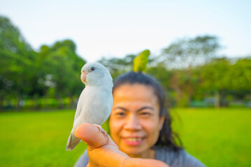 Birds that are pets in the hands of people with matter outdoors in the park.