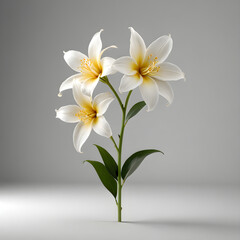 bouquet of white flowers on a yellow background