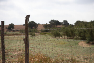 wooden poster on which wire fencing is attached to prevent entry and exit to the protected natural...