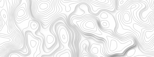 White wave paper curved reliefs abstract background. The topographic map contour in lines isolated. Abstract white topographic map background with lines. Background of the topography map.