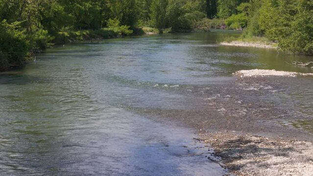 Rase motte lent sur rivi&egrave;re