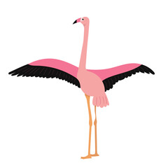 Naklejka premium pink flamingo flaps its wings on a white background vector