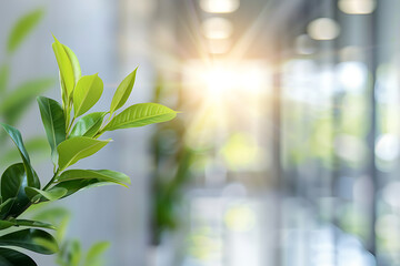 Blurred background of a modern office interior with glass windows and a green plant in the foreground, blurred focus on the wall, copy space for text. In the style of Business concept background.