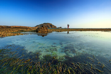 view of long coral rocks that are inundated with sea water where the coral is overgrown with...
