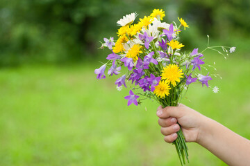 The child holds out a bouquet of meadow flowers. Blurred green background