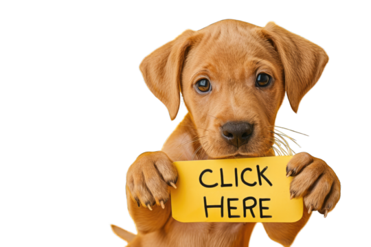 Cute Labrador Puppy Holding "Click Here" Sign on Transparent PNG