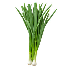 young green garlic leaves isolated on transparent background With clipping path. cut out. 3d render
