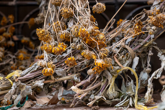 Dried flowers