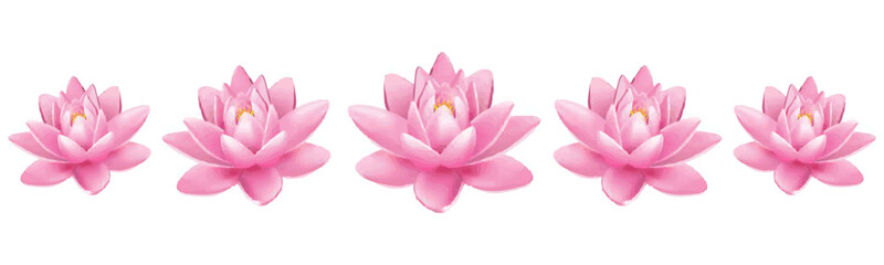 Pink lotus flower design for Vesak Day vector illustration	
