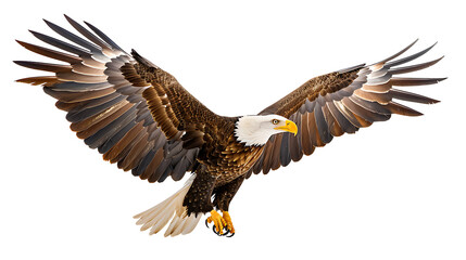 Obraz premium close-up American Eagle is flying gracefully, Isolated on transparent background. 