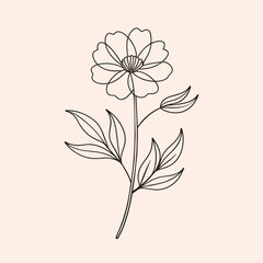Single line art wildflower illustration