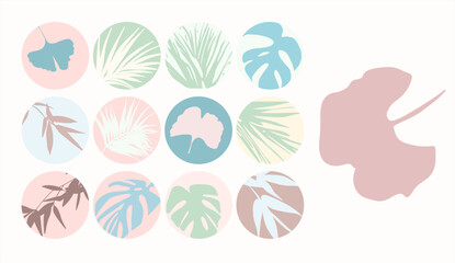 A set of icons of silhouettes of tropical plants inscribed in a circle in pastel colors.
Vector illustration for social networks, branding, logo creation, advertising, posters