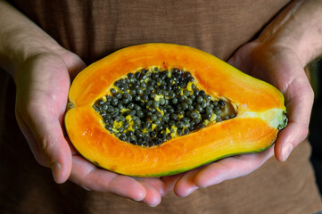 Cut juicy papaya in man hands with seeds close up.