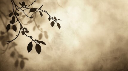 Elegant background with leaves. Tree branch with leaves in soft color, minimal design, light and shadow