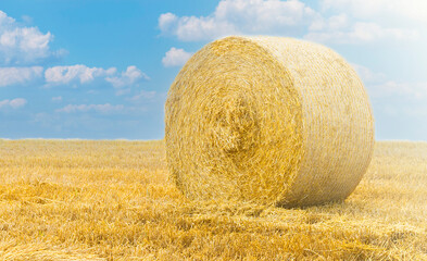 Straw yellow ball with blue sky on soft sunlight