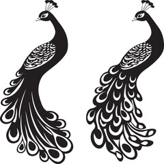 Fototapeta premium set of peacock