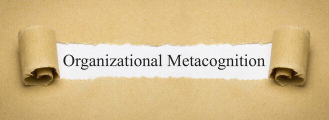 Organizational Metacognition