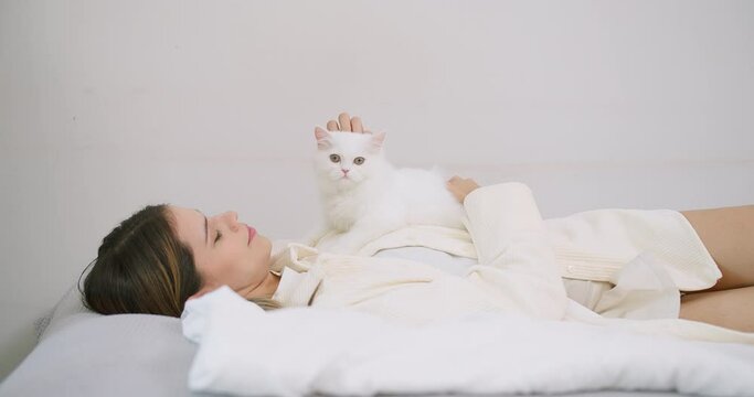 Attractive woman is laying on a bed petting cute little fluffy white cat in living room, owner stroking domestic cat animals at home, Relationship between pets and people, peaceful and calming