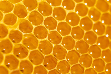 Texture of honeycombs close up.fresh honey in cells. Yellow wax honeycombs from the hive.Close up...