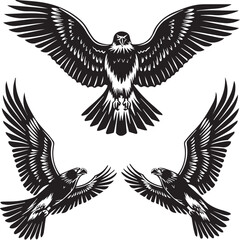 eagles vector