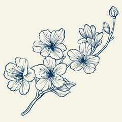 Hand drawn bouquet with flowers and leaves. Vector linear monochrome elegant floral arrangement in vintage style, tattoo design, coloring book, wedding decoration.