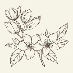 Hand drawn bouquet with flowers and leaves. Vector linear monochrome elegant floral arrangement in vintage style, tattoo design, coloring book, wedding decoration.
